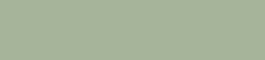 Mist Green / Pale Eucalypt